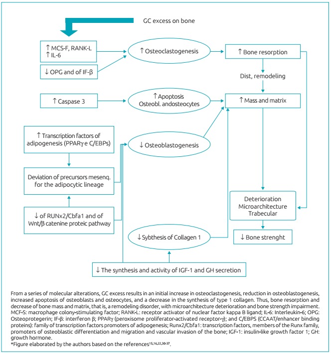 Figure 3: