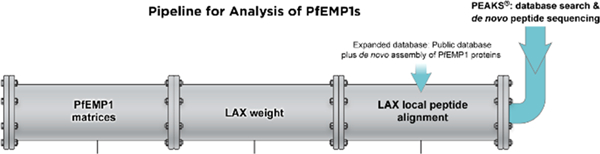 graphic file with name nihms-1985540-f0001.jpg