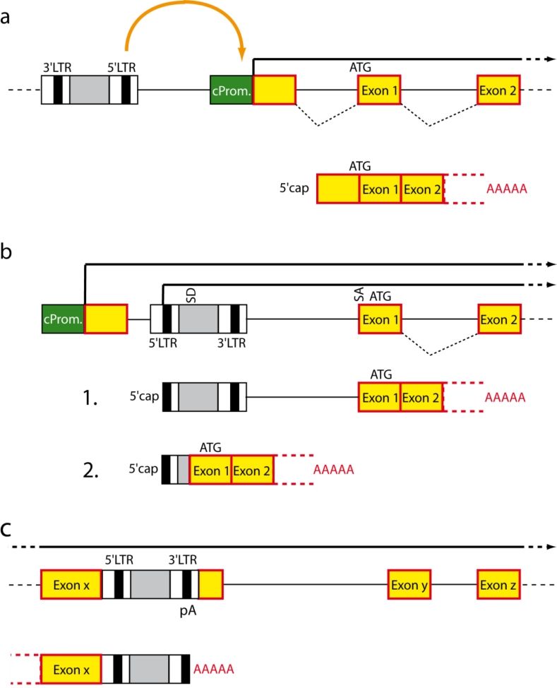 Figure 6.