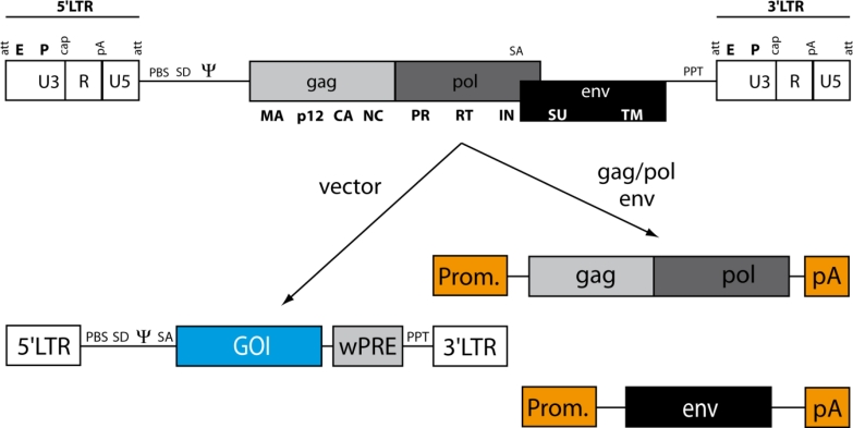 Figure 3.