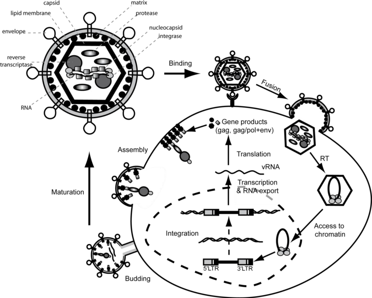 Figure 2.