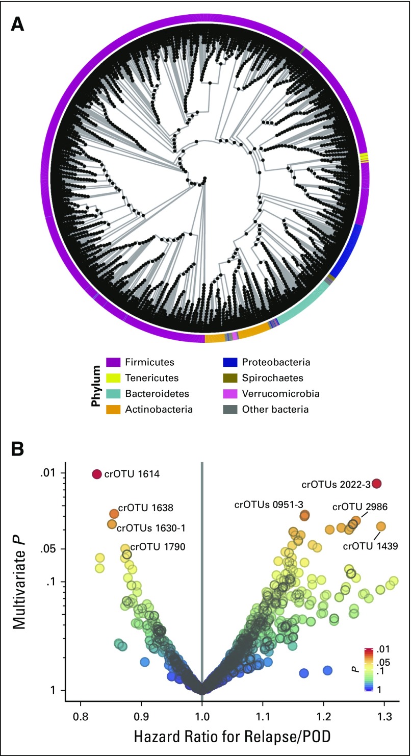 Fig 1.