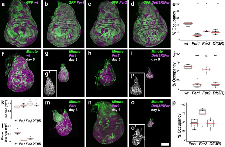 Fig 3