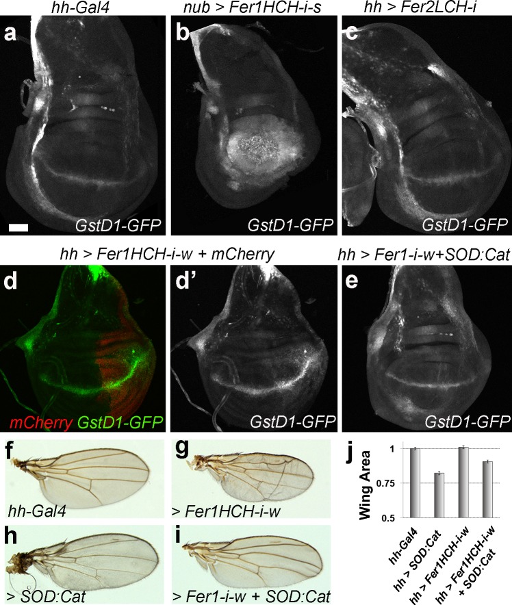 Fig 5