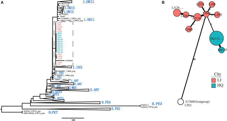 FIGURE 3