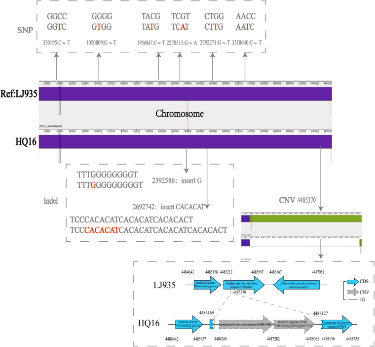 FIGURE 4