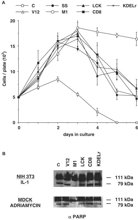 FIG.6.