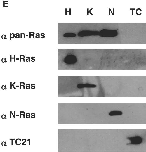 FIG. 8.