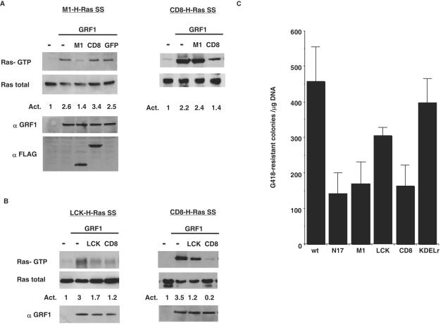 FIG. 7.