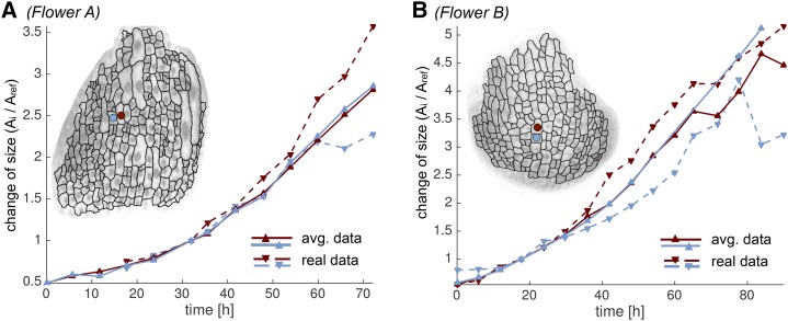 Figure 6.