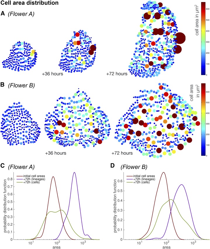 Figure 10.