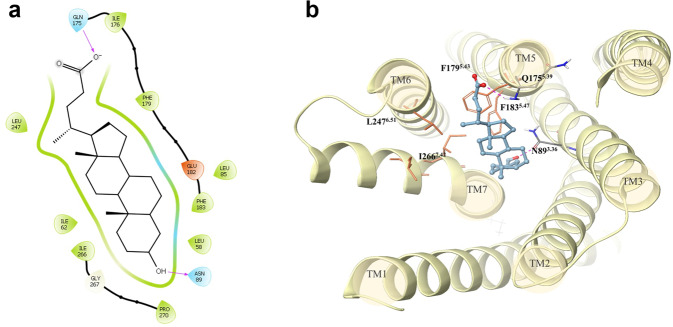 Fig. 7