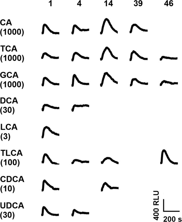 Fig. 2