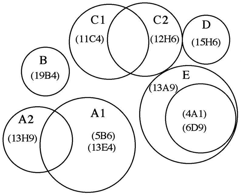 FIG. 3