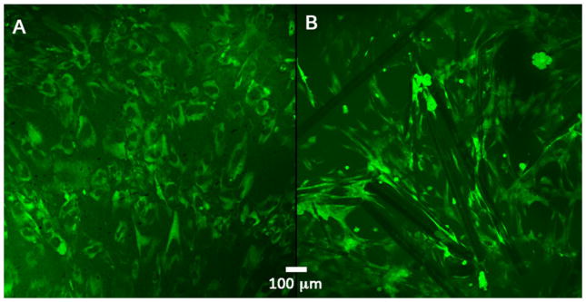 Fig. 10