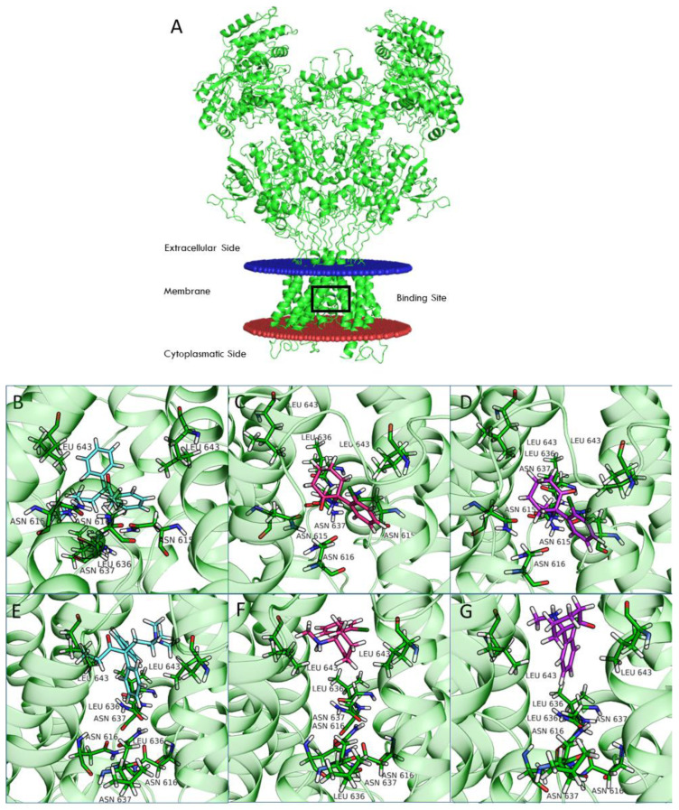 Figure 7