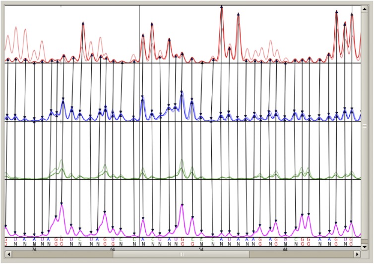 FIGURE 5.