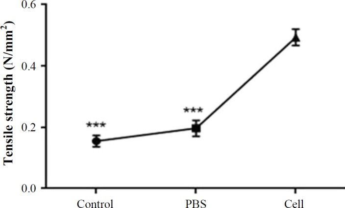 Fig 10