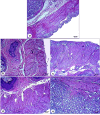 Fig. 15
