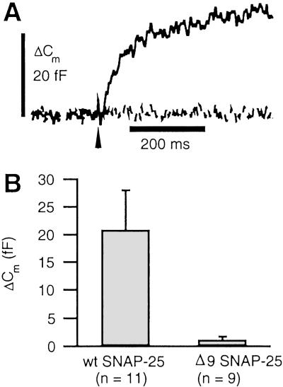 Fig 2.