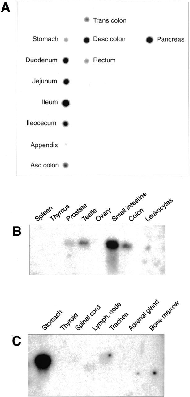 Figure 5.