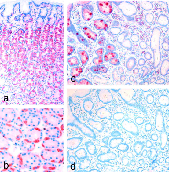 Figure 9.