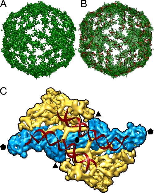 FIG. 7.