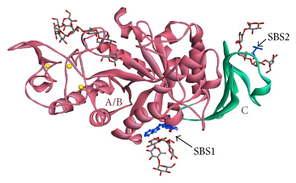 Figure 7