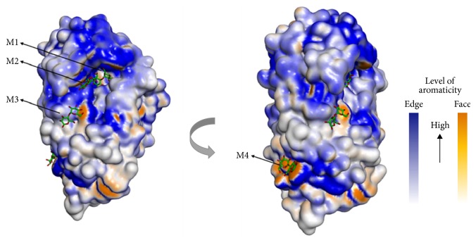 Figure 9