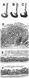 FIG. 8