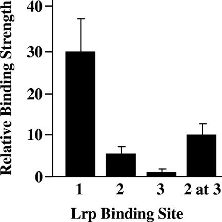 FIG. 2.