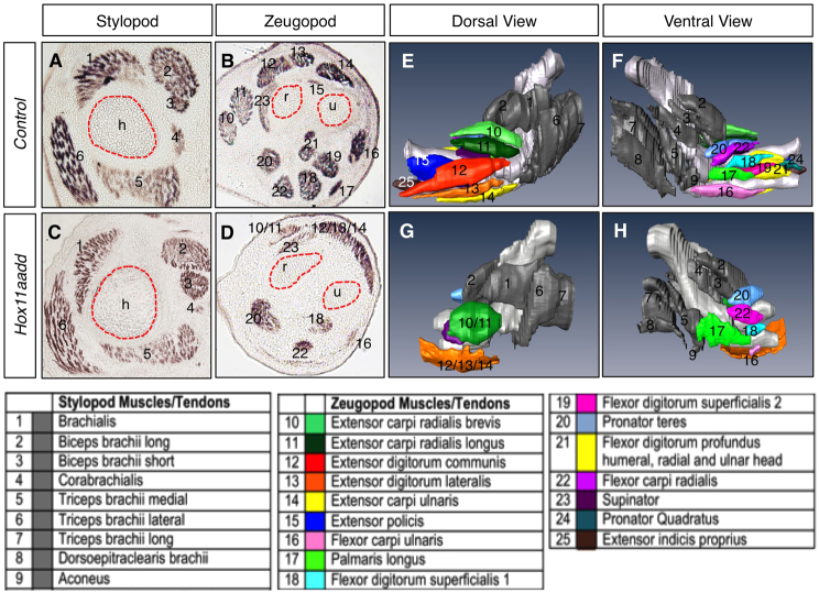 Fig. 4.