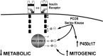 Figure 11.