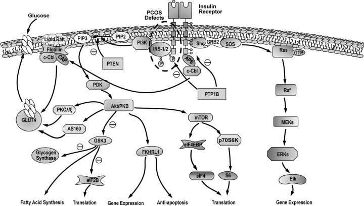 Figure 10.