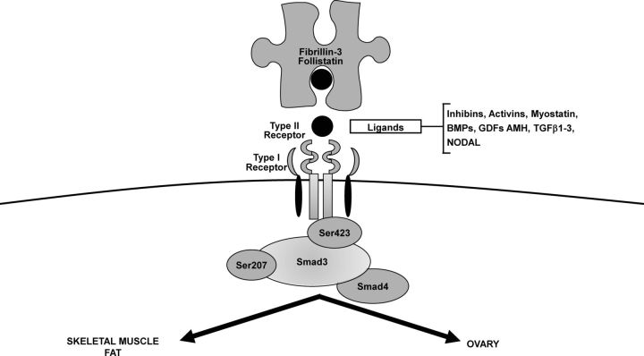 Figure 15.