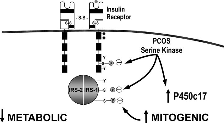 Figure 11.