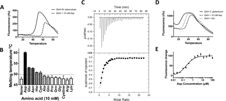 FIG 3 