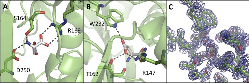 FIG 5 