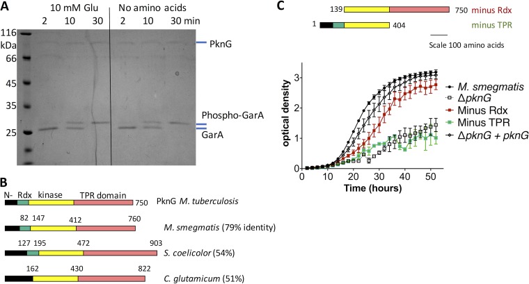 FIG 1 