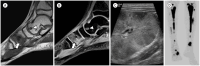 Fig. 10