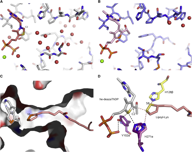 Figure 6