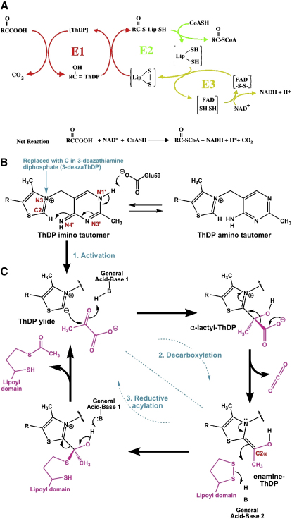 Figure 1