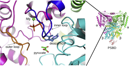 Figure 2