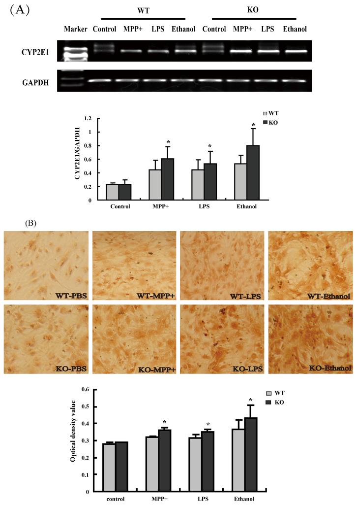 Fig.3