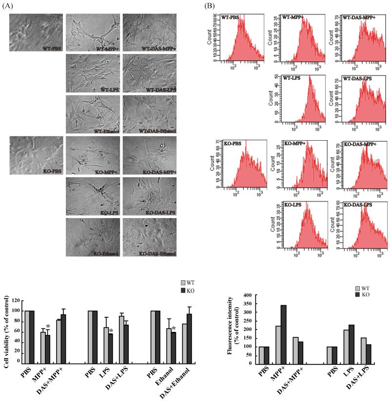 Fig.4