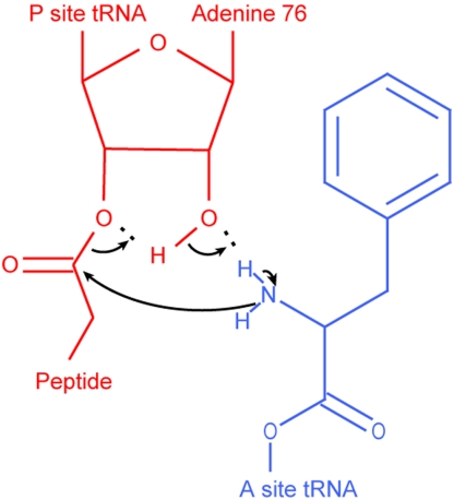 Fig. 2.