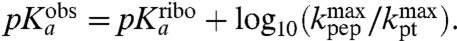 graphic file with name pnas.1012612107eq80.jpg