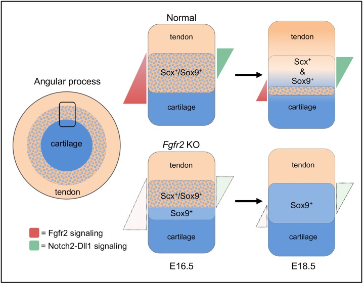 Fig. 11.