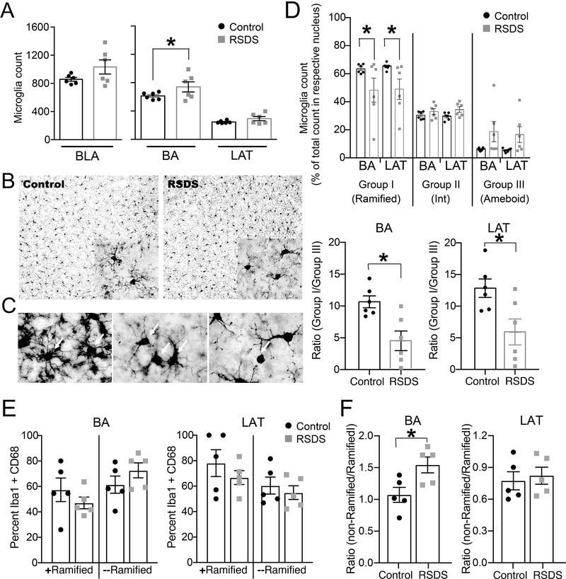 Figure 6: