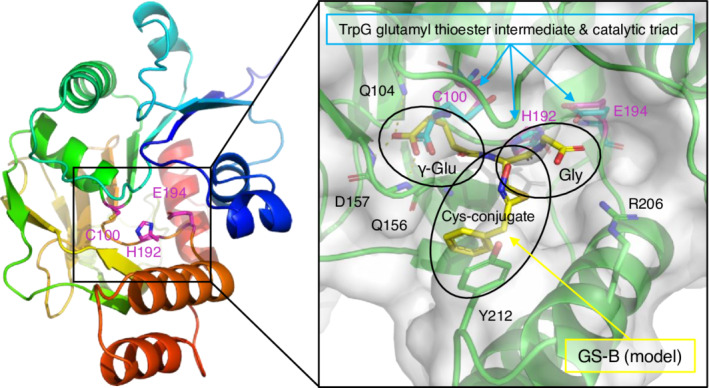 Figure 7